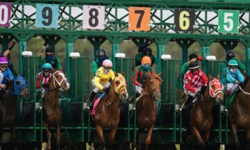Betting on horse racing for beginners
