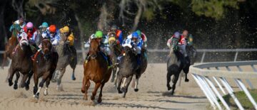 what is the going in horse racing